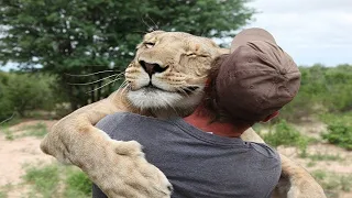 Amazing Animals Hugging People Compilation