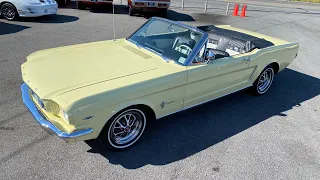 Test Drive 1965 Ford Mustang Convertible SOLD $34,900 Maple Motors #1839