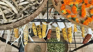 HOW TO: Save Seeds & Start Your Own Seed Bank - Milkwood - Permaculture Living