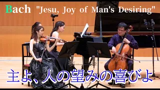 バッハ　主よ人の望みの喜びよ J.S.Bach  "Jesu, Joy of Man's Desiring"