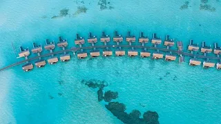 Ozen Life Maadhoo Luxury holiday in the Maldives