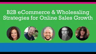 B2B eCommerce & Wholesaling Strategies for Online Sales Growth | an eCommerce Explored Panel