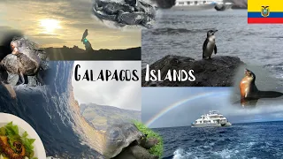 Galápagos Islands: July 2022