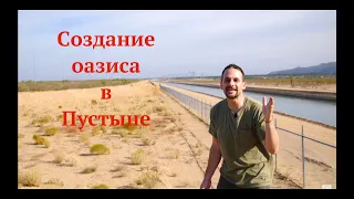 Создание оазиса в пустыне // Пермакультура // Улучшение почвы.