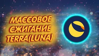 СООБЩЕСТВО СПЛОТИЛОСЬ И СЖИГАЕТ TERRA (LUNA)!/ СОЗДАТЕЛЬ ЛУНЫ НЕ ОДОБРЯЕТ ЭТО!