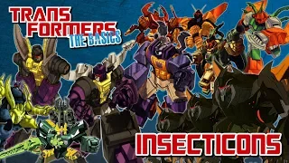 TRANSFORMERS: THE BASICS on the INSECTICONS