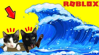Gato jugando a juego de tsunami en Roblox con gatos graciosos Luna y Estrella / Gameplay con gatitos