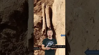 El sorprendente hallazgo de un cráneo romano en una necrópolis prehistórica de Granada