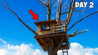 Last To Leave The Treehouse