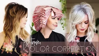 Platinum Blonde Color Correction | Brunette to White in one Appointment! (Full Technique)