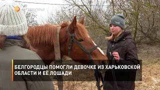 Белгородцы помогли девочке из Харьковской области и её лошади