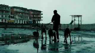 DOGMAN - Clip "Marcello esce con i cani"