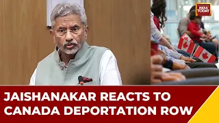 The Culpable Parties Should Be Punished: S Jaishankar On Students Facing Deportation | Watch