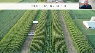 Stock Cropping: Raising Crops and Livestock Simultaneously in the Same Field