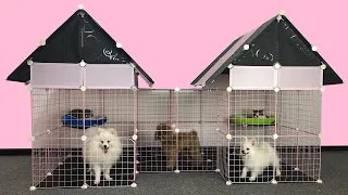 DIY - How To Make Amazing House For Pomeranian Puppies With Square Grid - DIY Cat House - MR PET #72