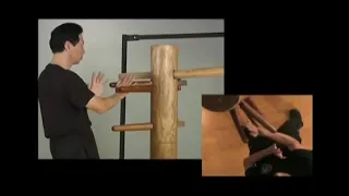 Samuel Kwok Teaching Wooden Dummy