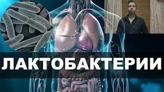 ПРОБИОТИКИ могут Вас убить? ЛАКТОБАКТЕРИИ. Пробиотики для кишечника. Список. Польза и вред. Научно