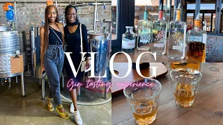 MINI VLOG: GIN TASTING IN CAPE TOWN || HAPPY NEW YEAR 🎉