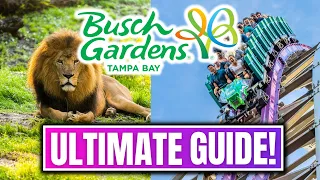 Busch Gardens Tampa Guide: Must-Know Tips To Know Before You Visit!