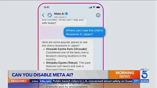 Can you turn off Meta AI on Instagram and Facebook? What you need to know