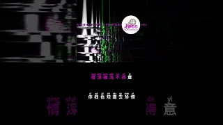 刘德华 Andy Lau 《来生缘》 Pinyin Lyrics 动态拼音歌词 shorts