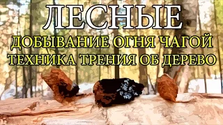 Добывание огня чагой - Техника трения об дерево | Starting a Fire with Chaga