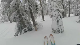 POWDERCHASER'S ! ! ! !   MT. HOOD NATIONAL FOREST  !  !  !  !