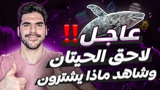 ماذا يشتري الحيتان اليوم 🐋 شاهد محفظاتهم