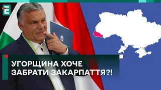 🤬 Угорщина ХОЧЕ ЗАБРАТИ Закарпаття?! Нова СКАНДАЛЬНА ЗАЯВА політика!