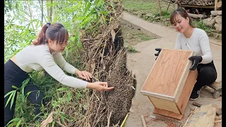 Binh's daily work and how Binh catches honey bees and makes bee crates. Rural lady.