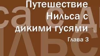 Путешествие Нильса с дикими гусями #3 аудиосказка онлайн слушать