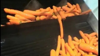 Линия мойки и сортировки моркови Allround VP