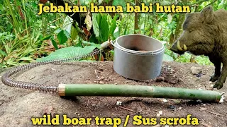 🔴make a wild boar trap using push springs and pipes