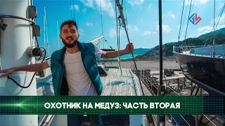 Сколько можно заработать на фотографиях медуз? - Александр Семенов, подводный фотограф