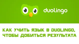 Как правильно учить языки в Duolingo