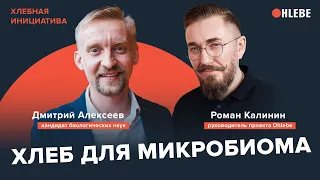 Ученый Дмитрий Алексеев: «Кишечник любит разнообразие. Хлеб и микробиом». Хлебная Инициатива