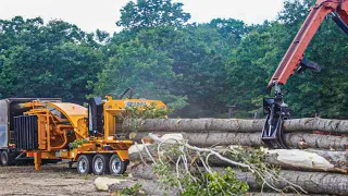 Amazing Small Equipment Swallow Giant Whole Tree, Dangerous Huge Wood Shredder Drum Chipper Machines