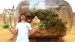 Ewiges Terrarium | Glas Biotop selber bauen