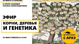 Детский эфир «Корни, деревья и генетика» в рамках рубрики «30 минут о генетике» с Татьяной Шнайдер