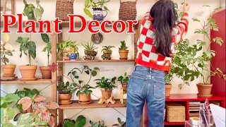 How to decorate and arrange plants beautifully | Houseplant Interiors | Living Room Tour| Plant Tour