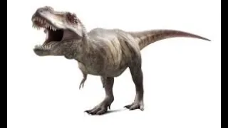 T rex || 3D model of Tyrannosaurus , running on ground || SD