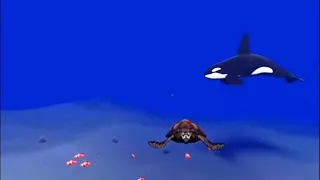 Virtual Reality - 360° 4K Blue Whale Dive | Oculus Quest 2