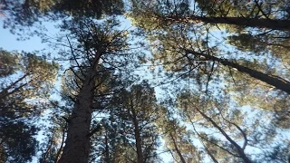 В окрестностях санатория Родник