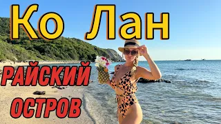 КО ЛАН РАЙСКИЙ ОСТРОВ, ЛУЧШИЕ ПЛЯЖИ, ТОМ КХА на рынке РАТАНАКОР | ПАТТАЙЯ 2024