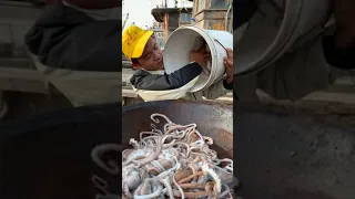 Amazing Eat Seafood Lobster, Crab, Octopus, Giant Snail, Precious Seafood🦐🦀🦑Funny Moments 606