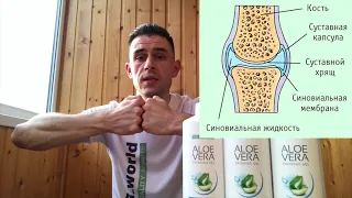 Отзыв LR  Восстановление суставов с Aloe Vera Freedom  #veratsikiridi #freedomlr #ОтзывыLR