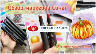 Обзор маркеров Сонет (Невская палитра) + видео-урок Тыква