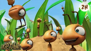 Ants At A Picnic | 🐛 Antiks & Insectibles 🐜 | Funny Cartoons for Kids | Moonbug