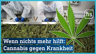 Cannabis Therapie Zentrum in Kassel: Hilfe wenn Medikamente versagen | hessenschau