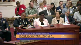 Special Committee on Gun Violence Prevention 6-26-2019